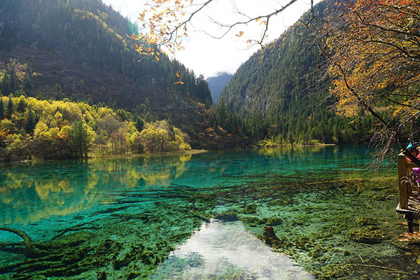 重庆到九寨沟包车费用