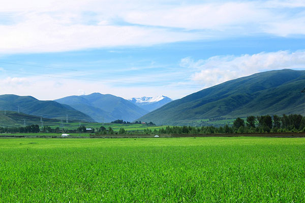 重庆去西藏旅游